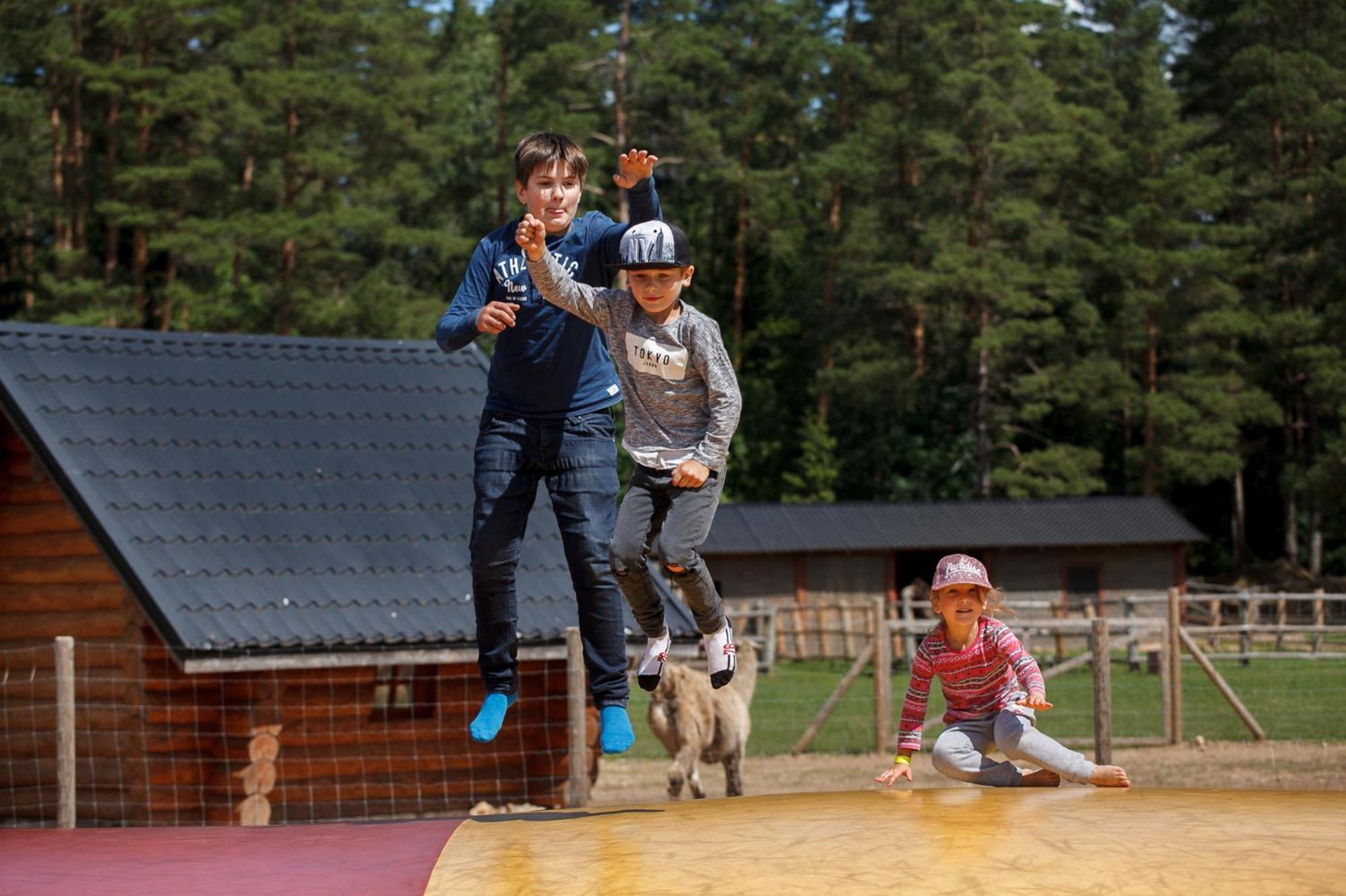 Отель Raksi Цесис Экстерьер фото